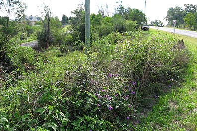 comleroy road park