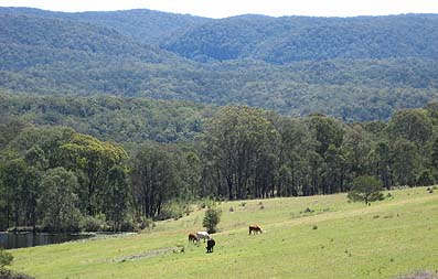 comleroy road view