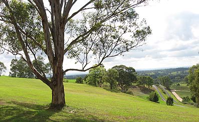 comleroy road view