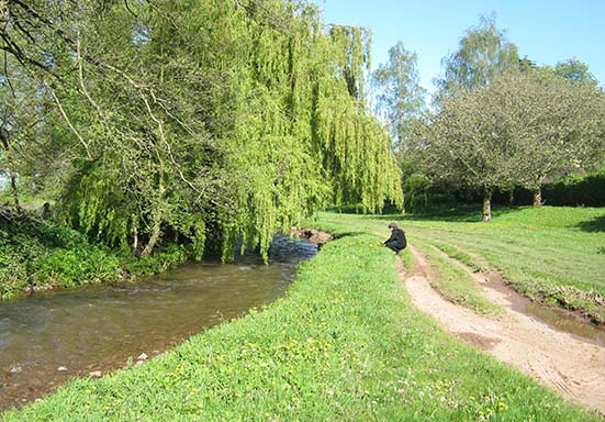 meadow near gallox bridge